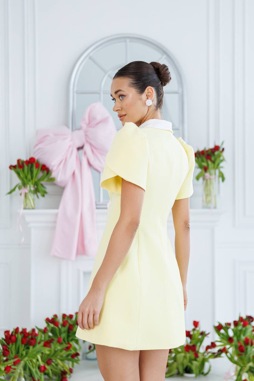 Geltona suknelė "Odela"
